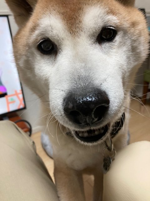 佐々木 実音樹の画像