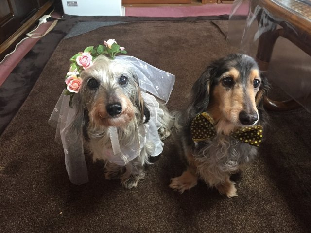 島田 亮一の画像3