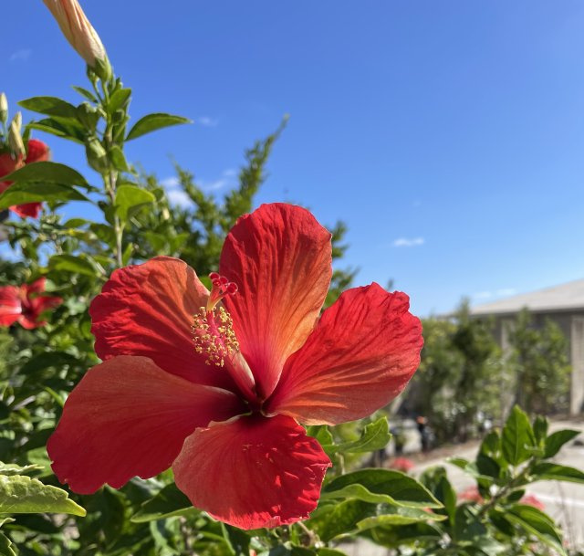 前川原 克仁の画像2