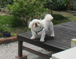 江利川 良幸の画像2