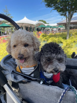 小林 優作の画像2