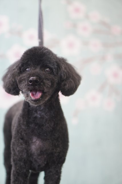 店長 上明戸の画像1