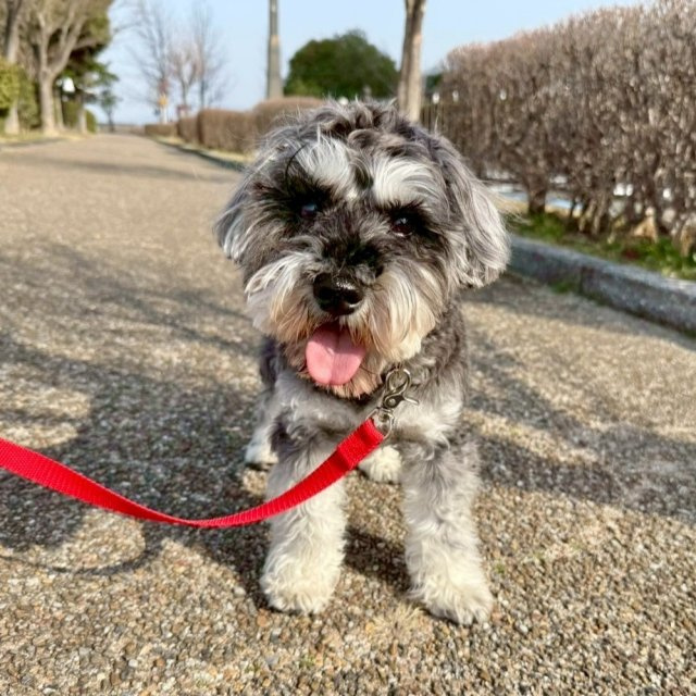 神田 梨緒那の画像3