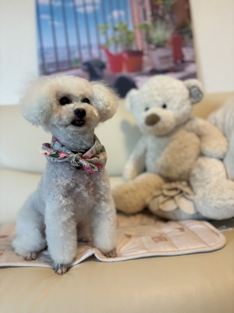 福島 優歩の画像3