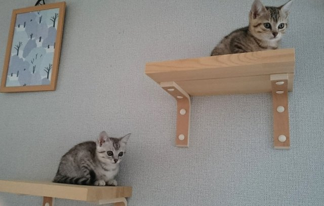 森 操の画像3