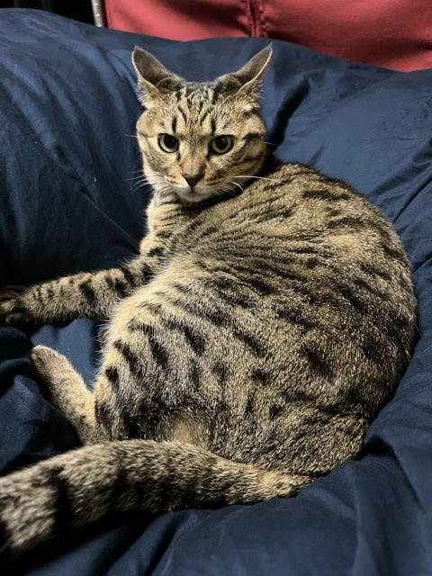 中村 空の画像3