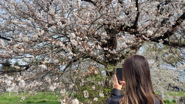 梶原 広報部の画像3