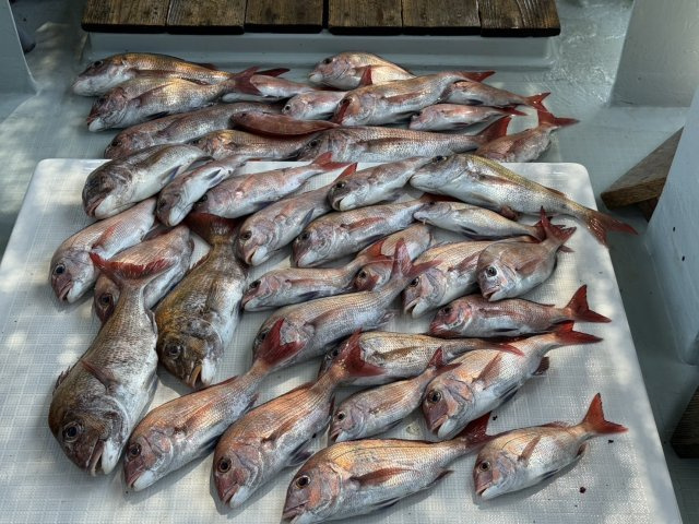 高橋 直己の画像2