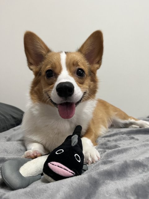 高橋 直己の画像3