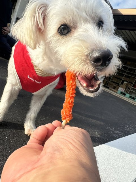 金子 明日香の画像2