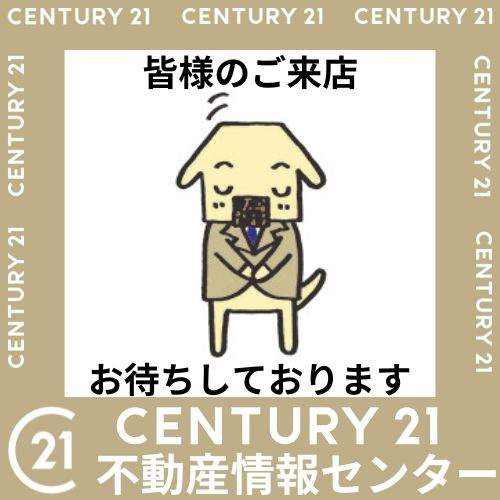 前澤 彩音の画像