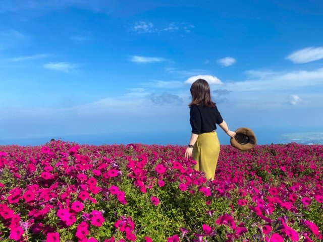 の画像2