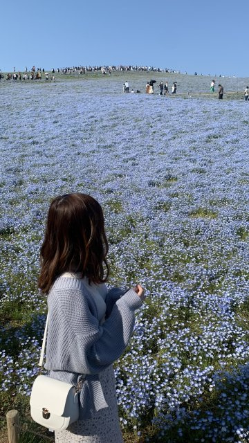 樫村 愛華の画像3