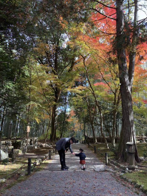 岩田 宗次郎の画像3