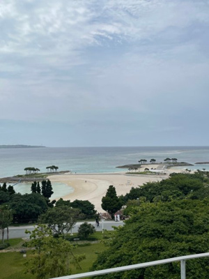 の画像3