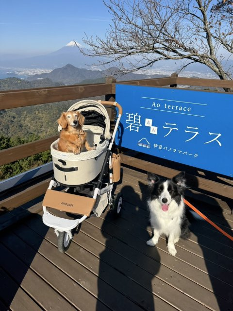 早乙女 優の画像2