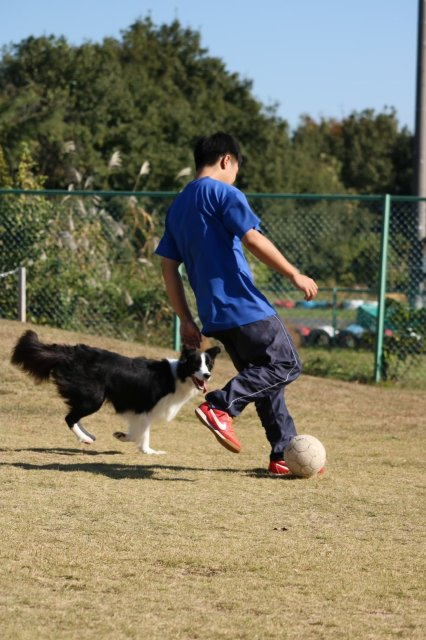 早乙女 優の画像3