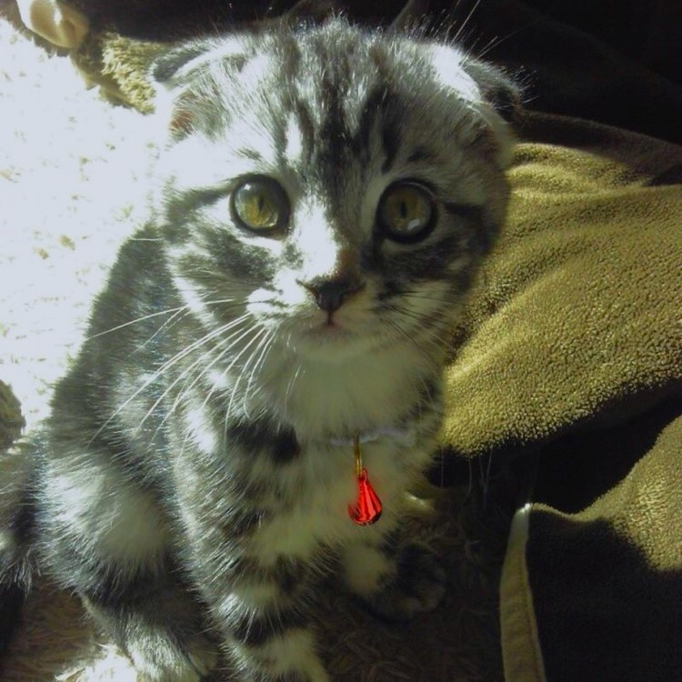 管理部長S氏の画像