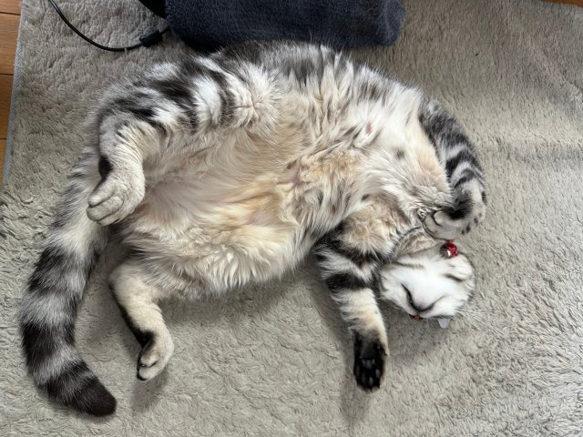 石田 典正の画像3