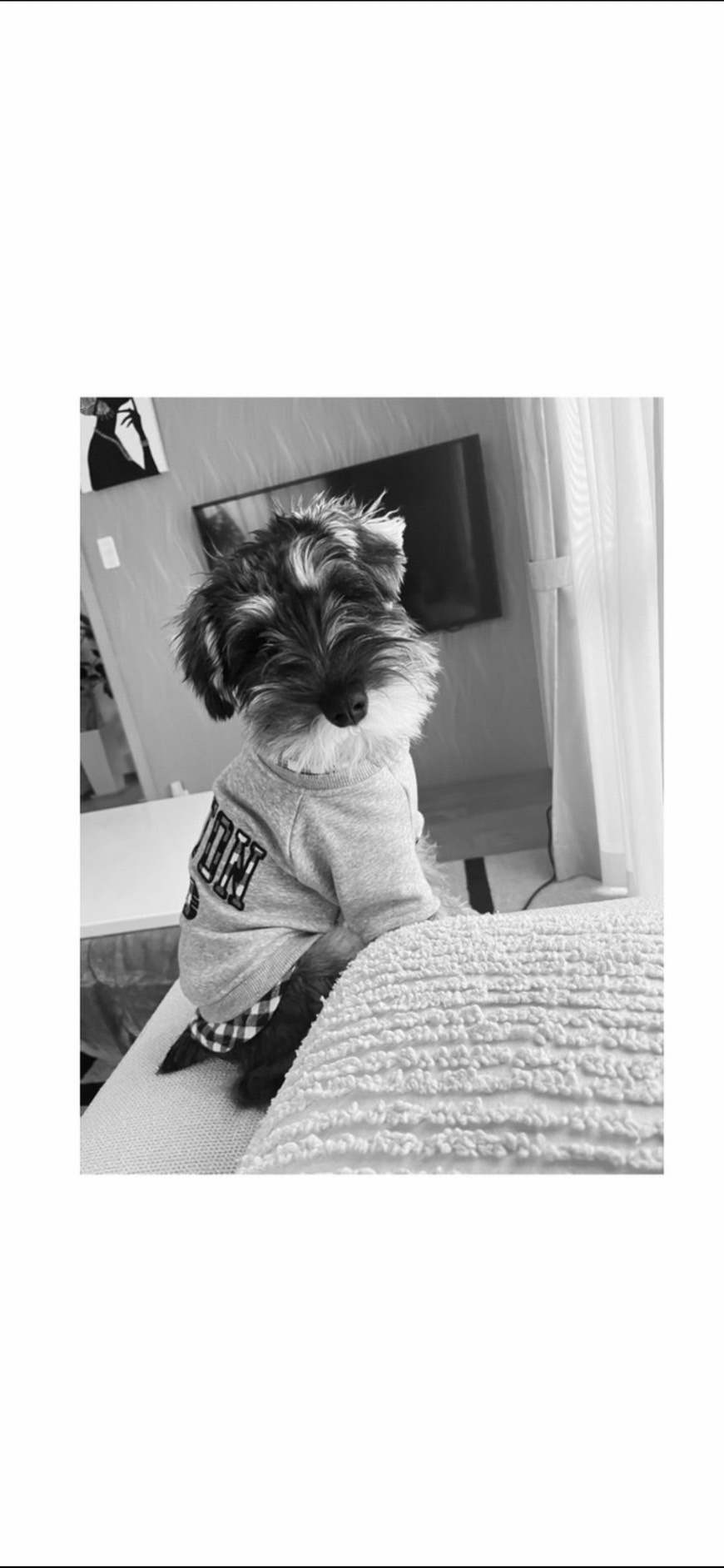 市田 恵里奈の画像3