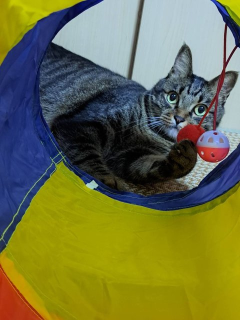 経理 事務の画像2