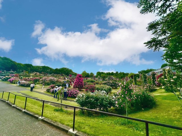 菊池 輝裕の画像3