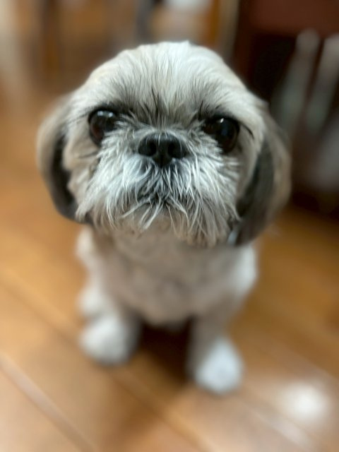 髙木 京香の画像3