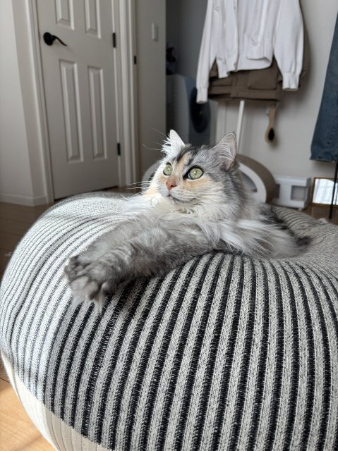 増田 　の画像2