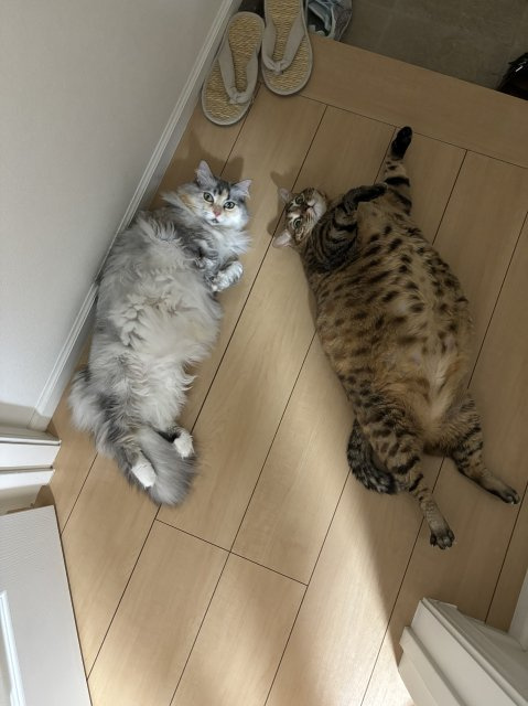 増田 　の画像3