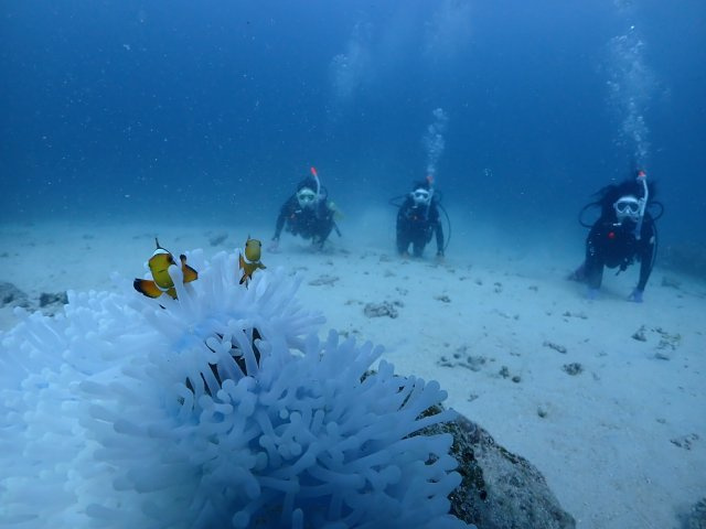 柿沼 裕一郎の画像3