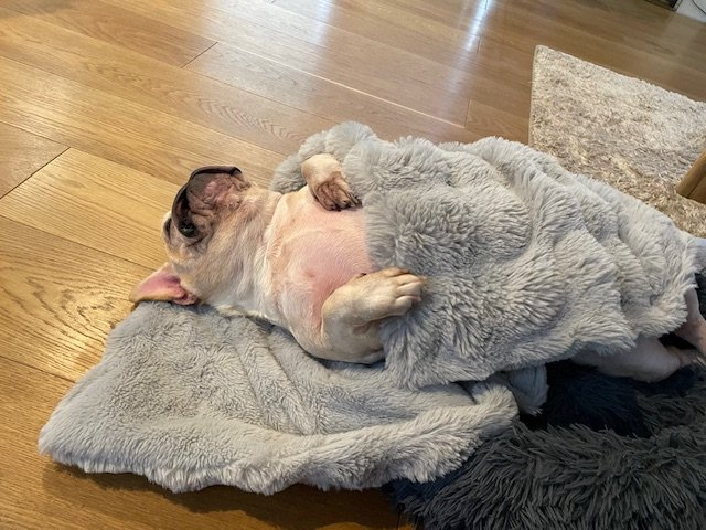 中野 陽介の画像2