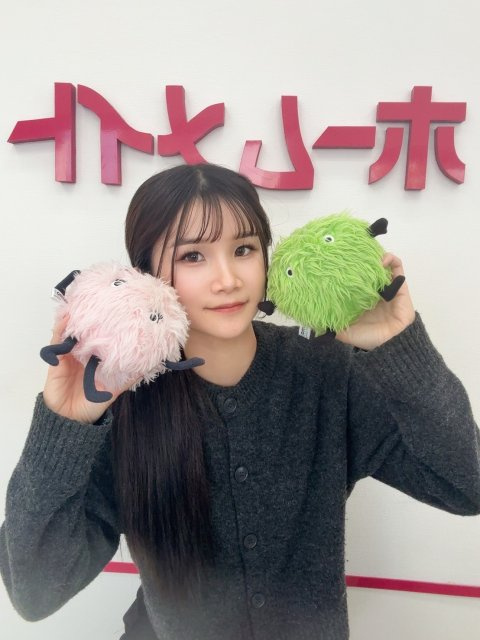 A. tahiraの画像2