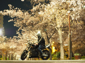 津田 蓮斗の画像2