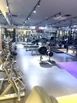 畑 雄司の画像2