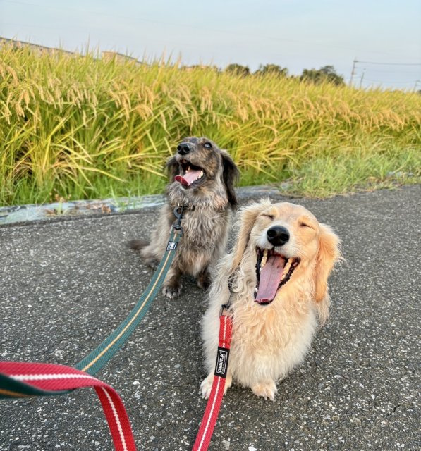 岩井 　の画像3