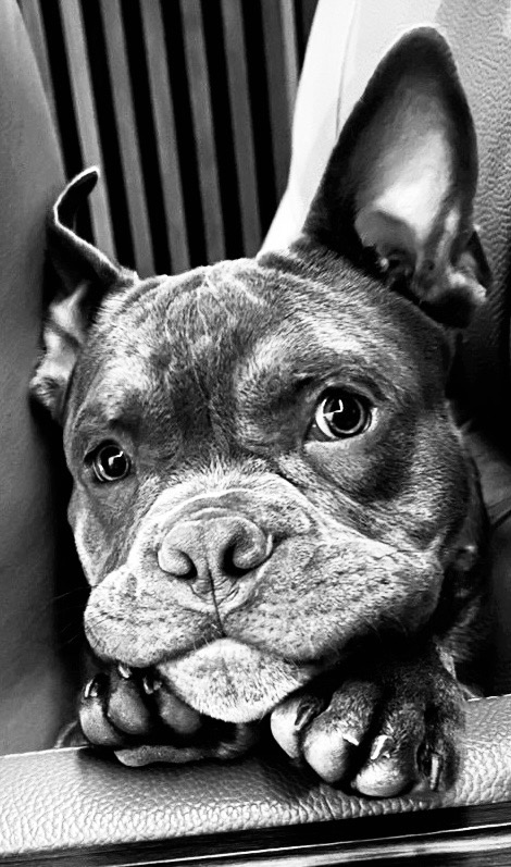 山川 翔平の画像2