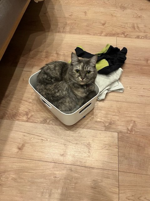 小林 治の画像3