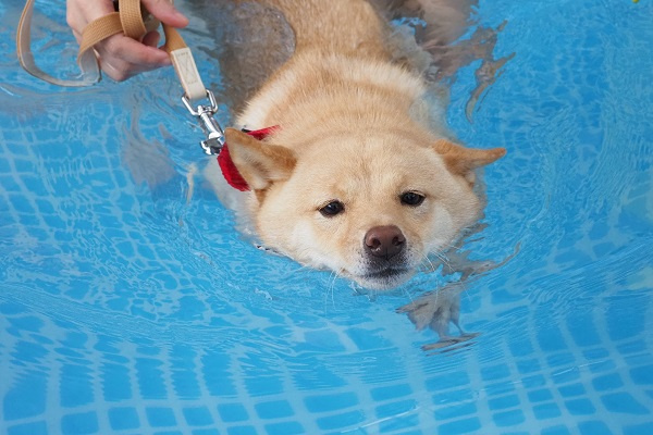 松本 親幸の画像2