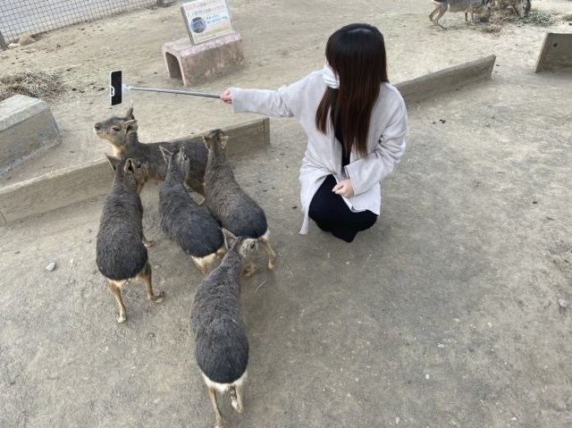 野口 理津子の画像2
