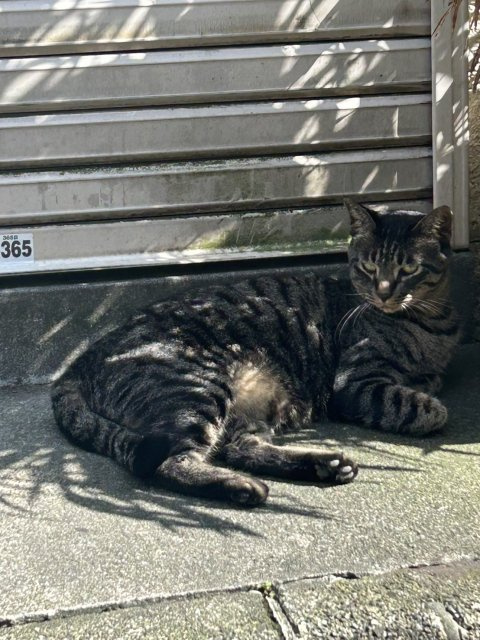 横溝 　の画像3