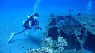 落合 貴子の画像3