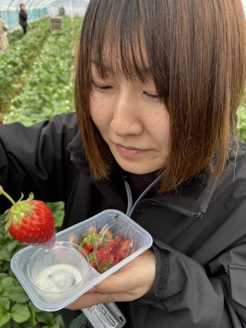 坂井 華の画像3