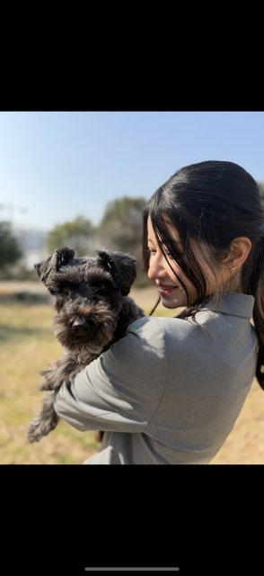 スズ 　の画像3