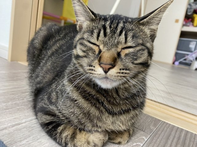 ナナ 　の画像3