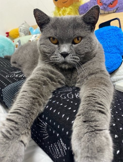 斉藤 美奈子の画像