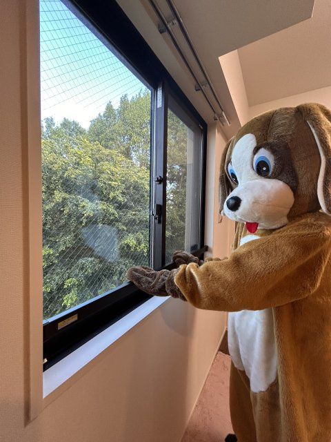 犬の妖精 アンビちゃんの画像2