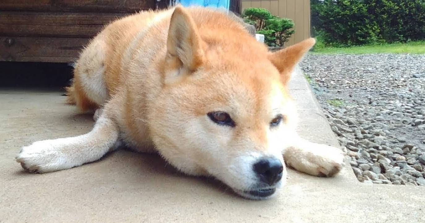 久保田 　の画像3