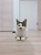 藤井正騎の画像