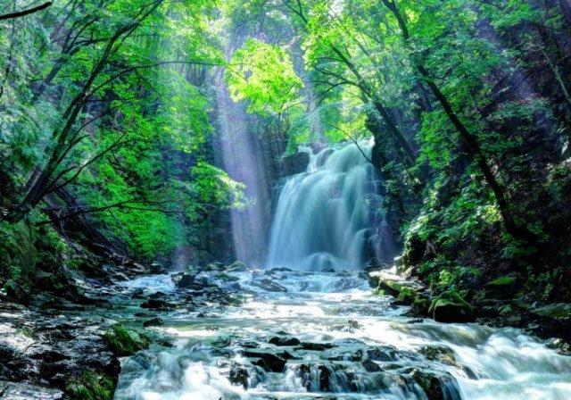 中川 弥郁の画像2