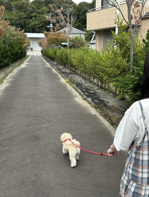 市毛 大夢の画像3